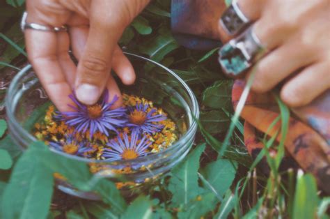 Expanding Your Health Horizons: Sea Witch Earth Medicines Unveiled